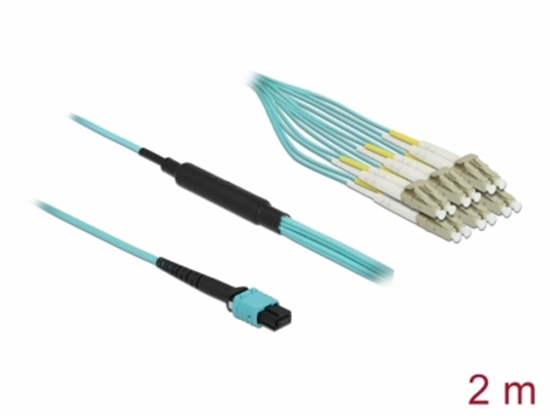 Picture of Delock Optical Fiber Cable MPO female to 12 x LC Duplex male, Multi-mode OM3, 50/125 µm, 2 m