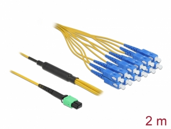 Picture of Delock Optical Fiber Cable MPO female to 12 x SC Simplex male, Single-mode, 9/125 µm, 2 m