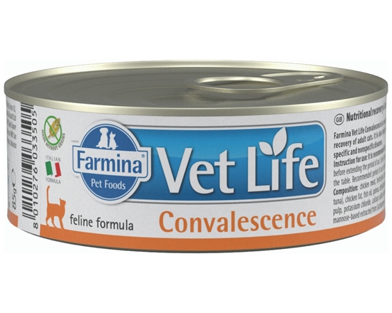 Picture of Farmina Vet Life Diet CAT Convalescence 85 g