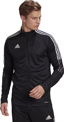 Изображение Adidas Czarny 2XL