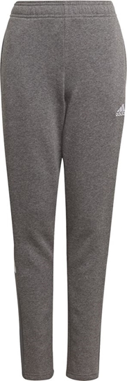 Picture of Adidas Spodnie adidas TIRO 21 Sweat Pant Junior GP8809 GP8809 szary 152 cm