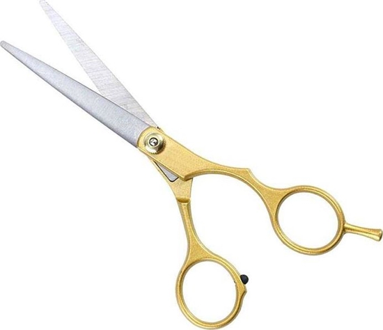 Изображение Aptel Hair Scissors Golden (Ag76b)