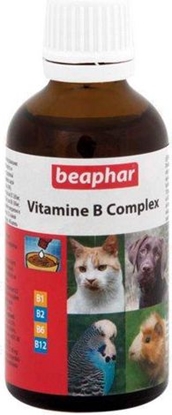 Изображение Beaphar Vitamin-B-Komplex krople 50ml