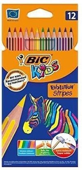 Изображение Bic Kredki Eco Evolution Stripes 12 kolorów (950522)