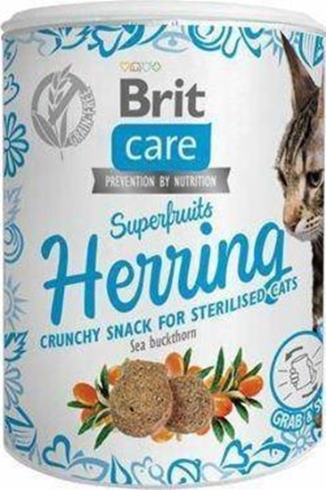 Picture of Brit Brit Care Snack 100g Herring, przysmak dla kota