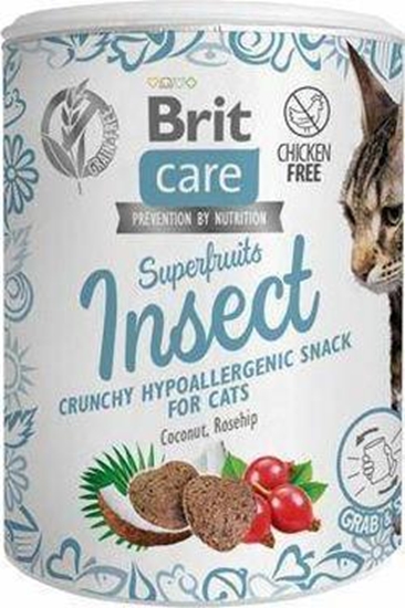 Picture of Brit Brit Care Snack 100g Insect, przysmak dla kota