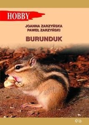 Изображение Burunduk