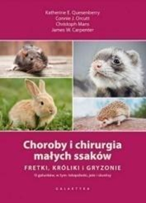 Изображение Choroby i chirurgia małych ssaków