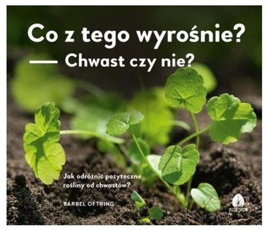 Изображение Co z tego wyrośnie? Chwast czy nie?