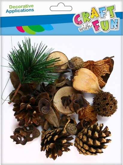 Изображение Craft with Fun CF OZDOBA DEK NATURA LESNY MIX 50GR PBH 12/144