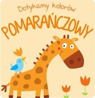 Picture of Dotykamy kolorów - Pomarańczowy