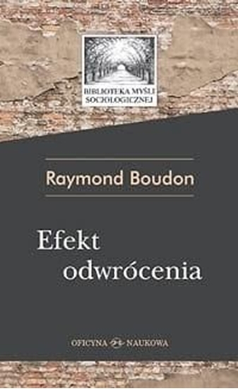 Изображение Efekt odwrócenia