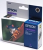 Picture of Epson Singlepack Blue T0549 Ultra Chrome Hi-Gloss