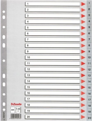 Изображение Esselte Przekładki do segregatora A4 PP szare (10K154D)