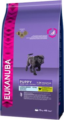 Picture of EUKANUBA Puppy Large Breed 15kg