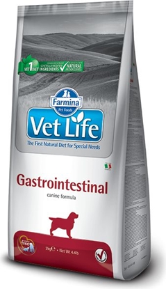 Picture of Farmina Pet Foods Vet Life Gastro-Intestinal Pies 2kg