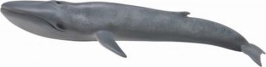 Изображение Figurka Collecta BLUE WHALE