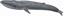 Picture of Figurka Collecta BLUE WHALE