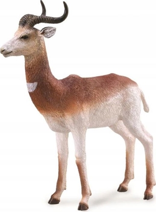 Изображение Figurka Collecta DAMA GAZELLE