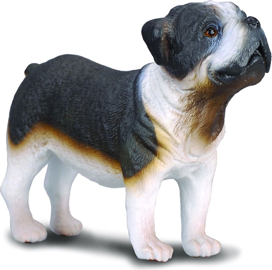 Изображение Figurka Collecta Pies rasy Buldog (004-88179)