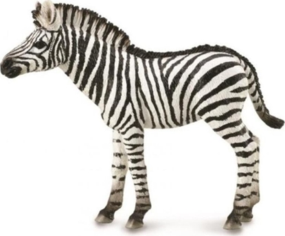 Attēls no Figurka Collecta ZEBRA FOAL