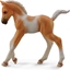 Attēls no Figurka Collecta Źrebię Pinto Foal Walking Palomino (004-88668)