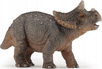 Picture of Figurka Papo Triceratops młody