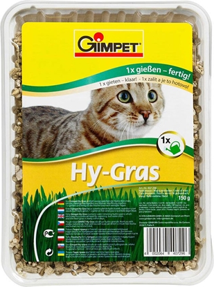 Picture of Gimpet GIMPET HY-GRAS 150g TRAWA POJEMNIK