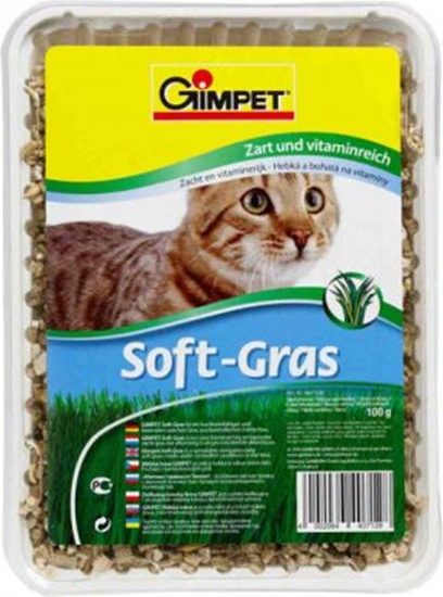 Picture of Gimpet GIMPET SOFT-GRAS 100g TRAWA POJEMNIK