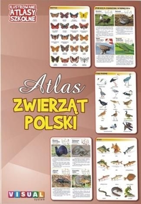 Picture of Ilustrowany atlas szkolny. Atlas zwierząt Polski