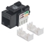 Picture of Intellinet Keystone Jack, Cat5e, UTP, Punch-down, Black