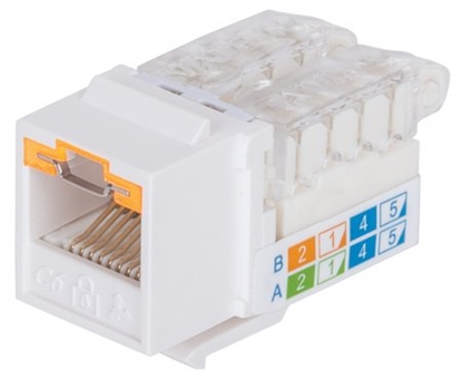 Attēls no Intellinet Keystone Jack, Cat6, UTP, Toolless, Locking Function, White