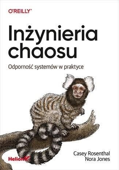 Picture of Inżynieria chaosu. Odporność systemów w praktyce