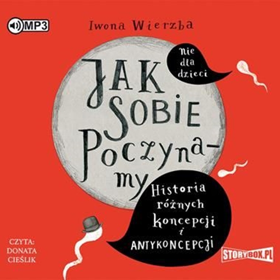 Picture of Jak sobie poczynamy. Historia różnych... audiobook