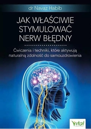 Изображение Jak właściwie stymulować nerw błędny