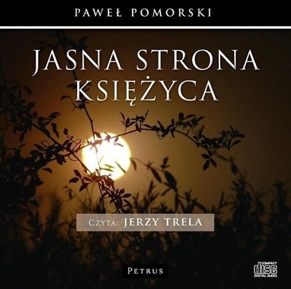 Изображение Jasna strona księżyca audiobook