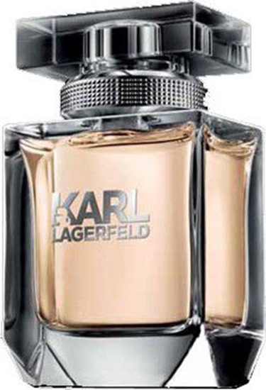 Picture of Karl Lagerfeld For Her EDP 45 ml