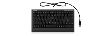 Picture of KeySonic ACK-595C+ keyboard USB QWERTY US English Black