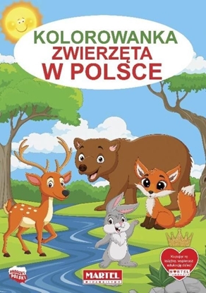 Изображение Kolorowanka Zwierzęta w Polsce