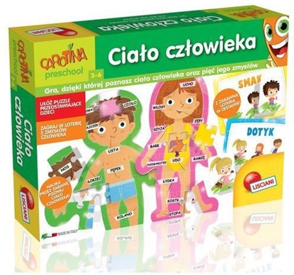 Изображение Lisciani Carotina Ciało Człowieka