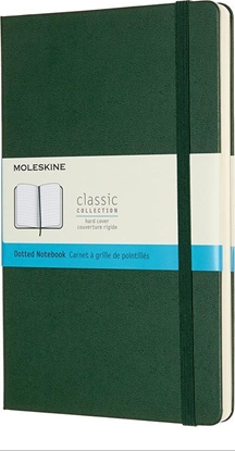 Attēls no Moleskine Notes Classic L 13x21 tw. kropki mirtowa zieleń