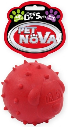 Attēls no Pet Nova TPR Snackball Red 6.5cm