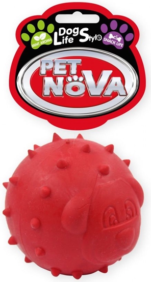 Picture of Pet Nova TPR Snackball Red 6.5cm