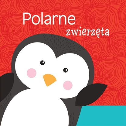 Изображение Polarne zwierzęta