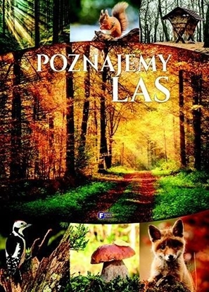 Picture of POZNAJEMY LAS