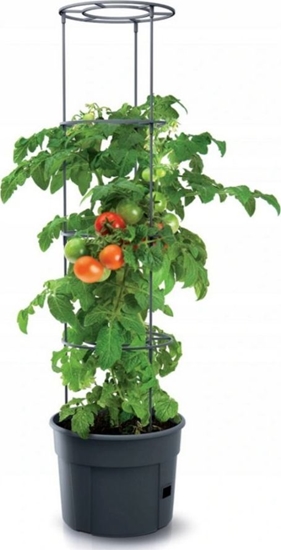 Изображение Prosperplast Doniczka Prosperplast Tomato Grower śr. 40 cm