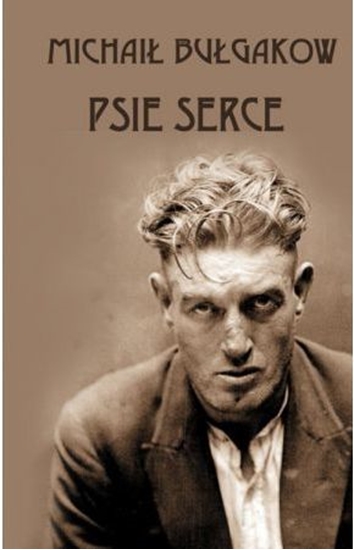 Picture of Psie serce