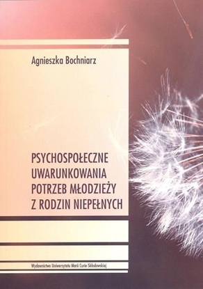 Picture of Psychospołeczne uwarunkowania potrzeb młodzieży...