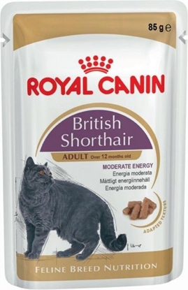 Изображение Royal Canin Feline Breed British Shorthair saszetka 85g