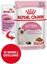 Picture of Royal Canin KITTEN Instinctive Feline w sosie 85 g 1szt